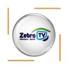 Abonnement 12 Mois Zebra TV 1 écran