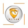 Abonnement 12 Mois Python OTT Double Ecrans